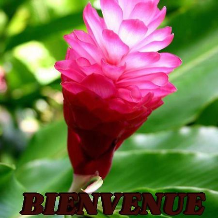 Alpinia Apartment Sainte-Anne Bagian luar foto